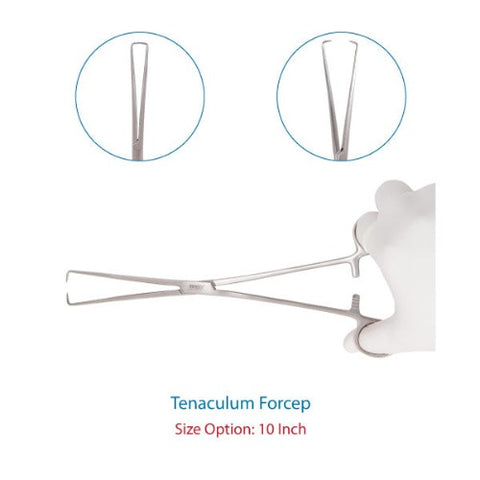 Tenaculum Forceps 10 Inch Surgical Instrument