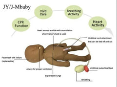 Newborn Baby Resuscitation Simulator