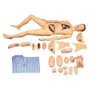 A and B Advanced Nursing and Wound Care Manikin