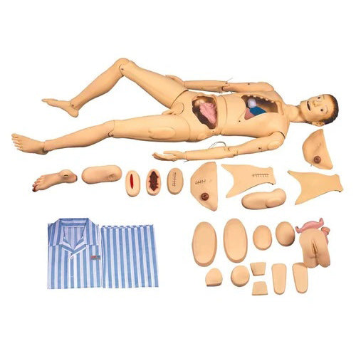 A and B Advanced Nursing and Wound Care Manikin