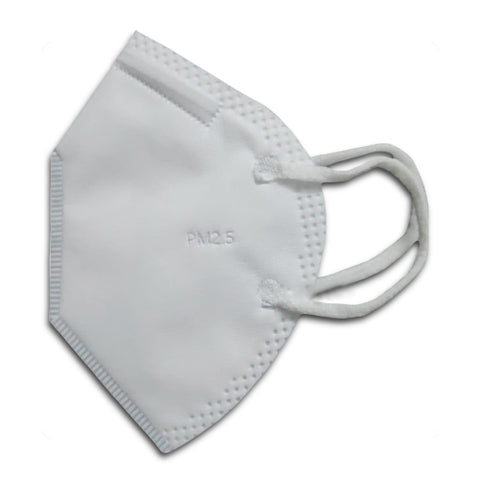 N95 Anti Pollution Mask (Pack of 10)