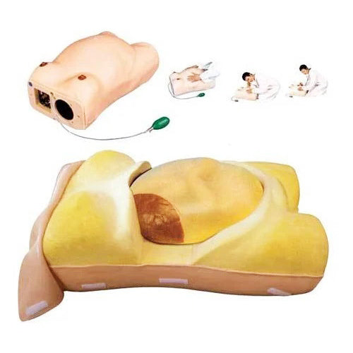 Abdominal Palpation Model Pvc Maternity Examination Nursing Model, For Medical College