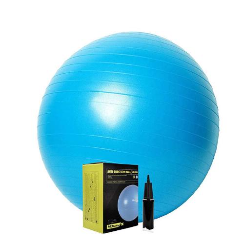 Gym Ball Swiss Ball Exercise Ball 65cm