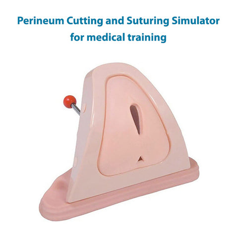 Perineum Cutting and Suturing Training Simulator