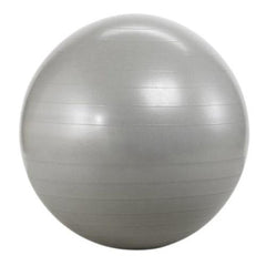 Original Theraband Exercise Gym Ball Siver 85cm