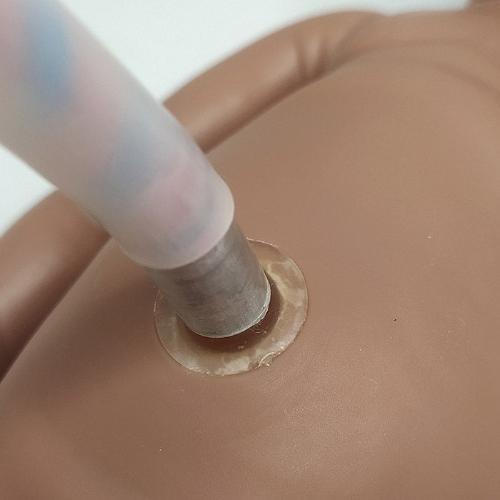 Baby with Placenta and Umbilical Cord