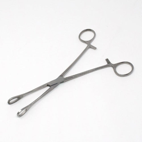 Foerster Sponge Holding Forceps (Straight)