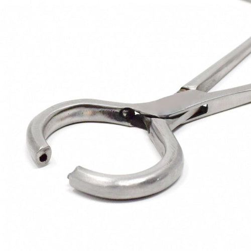 Hernia Ring SS Forceps