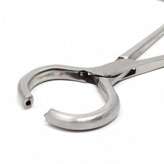 Hernia Ring SS Forceps