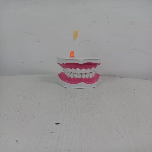 dental care model for patient education meddeygo