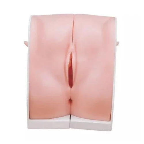 contraception model
