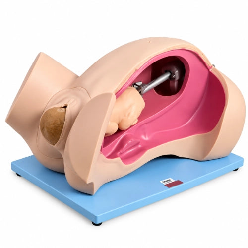 delivery leopold maneuvers simulator