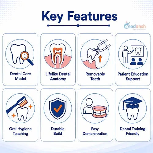 dental care model 