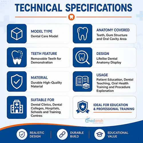 dental care model 