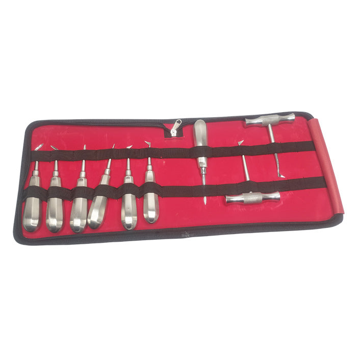 Dental Elevator Set of 9