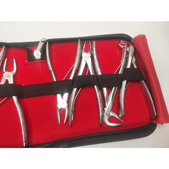 Dental Tooth Forceps (Child) Set of 6