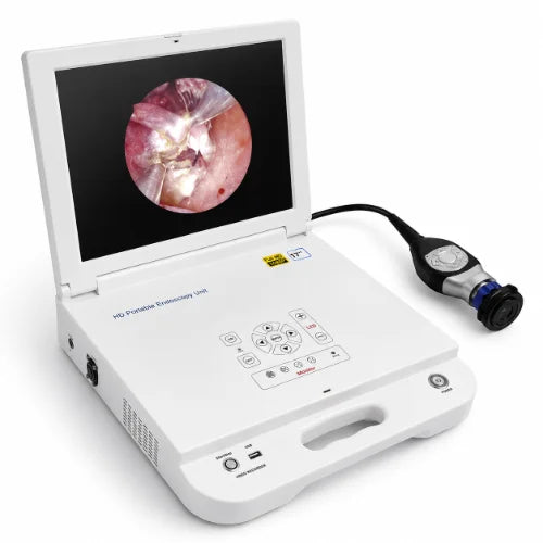endoscope unit