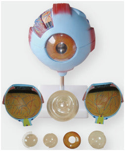 Giant Eye Delux Model