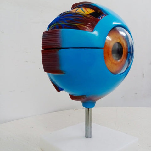 Giant Eye Delux Model