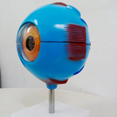 Giant Eye Delux Model