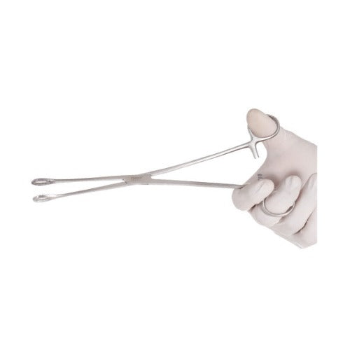 Sponge Holding Forcep 10 inch
