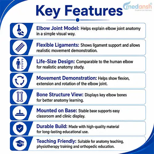 joint model 