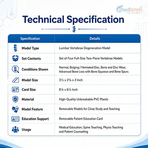 lumbar vertebrae degeneration model
