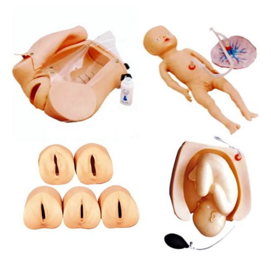 Advanced Abdominal Palpation and Delivery Mechanism Integrated Simulator