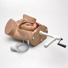 Advanced Abdominal Palpation and Delivery Mechanism Integrated Simulator