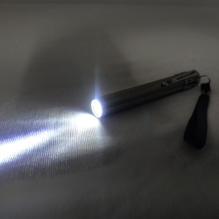 portable torch hospital