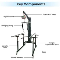 motorized gait trainer