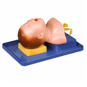 neonate intubation model