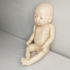 Newborn Baby Model Biological Lab