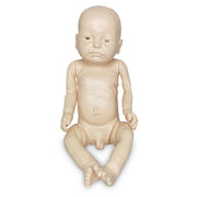 Newborn Baby Model Biological Lab