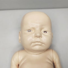 Newborn Baby Model Biological Lab