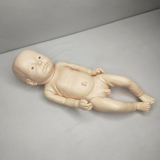 Newborn Baby Model Biological Lab