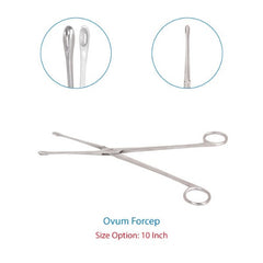 Premium Ovum Forceps Size 10