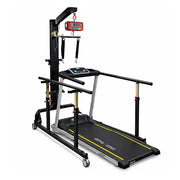 rehabilitation gait trainer