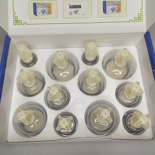 Rotary Cup Set 12 Pc, For Clinical Use