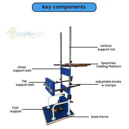 standing frame for adults