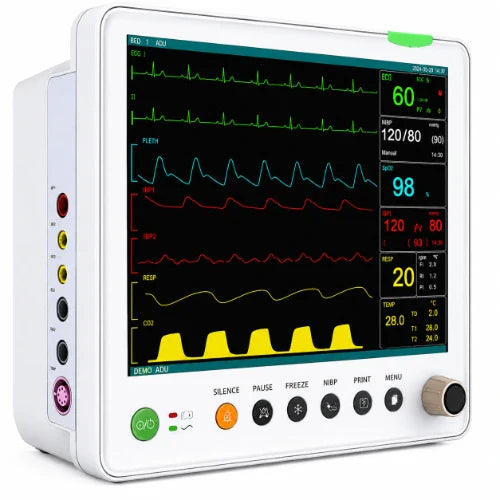 veterinary monitor

