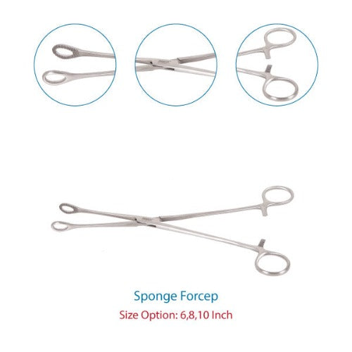 Sponge Holding Forcep 10 inch