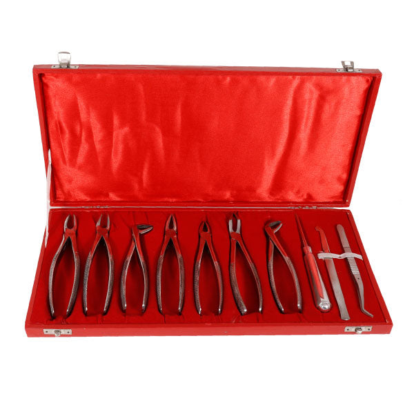 Dental Instruments Kit Stainless Steel