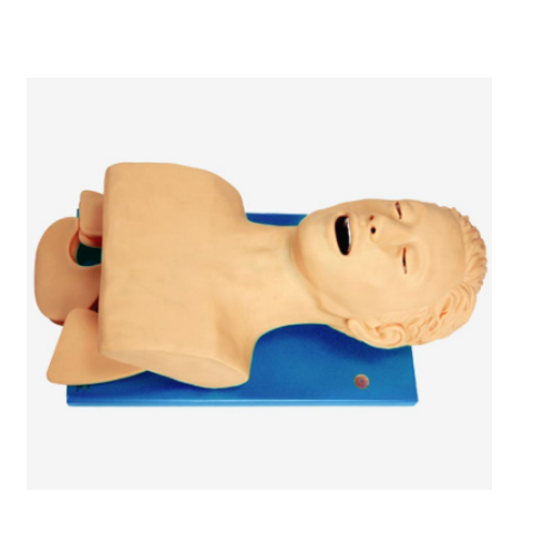 Electronic Trachea Intubation Model
