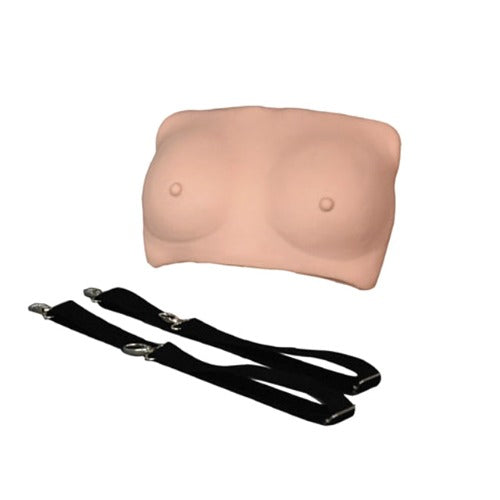 breast examination model