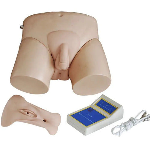 Manikin Teaching Model Male Female Catheterization Training