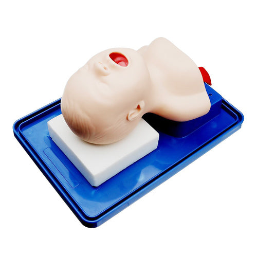 New Born Neonate Intubation Training Model