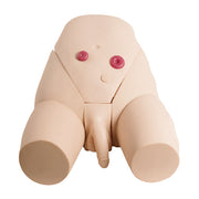 Male Catheterization Training Model