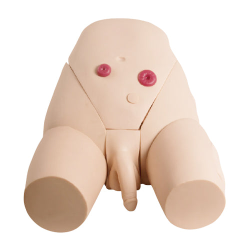 Male Catheterization Training Model