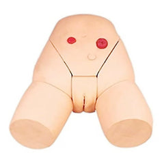 Female Catheterization Training Model